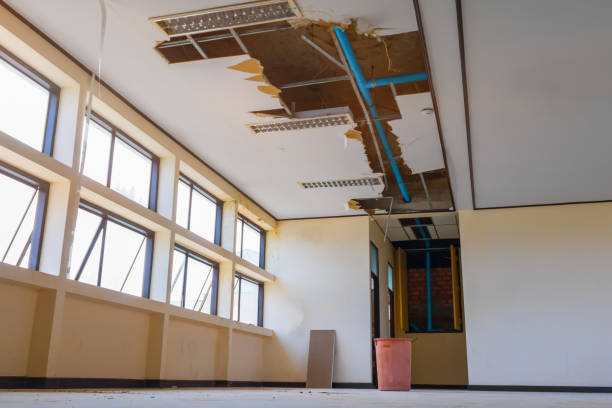 Best Basement water damage restoration  in Fort Mckinley, OH