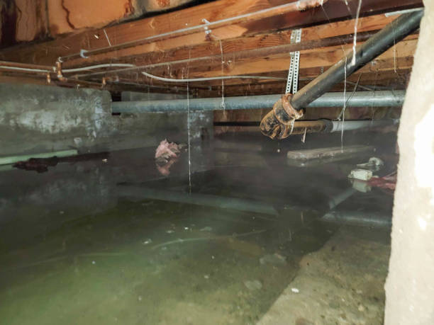 Professional Water damage restoration in Fort Mckinley, OH