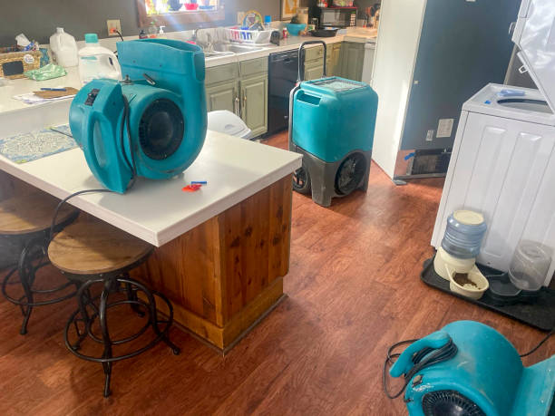 Sewage cleanup and water damage restoration in Fort Mckinley, OH