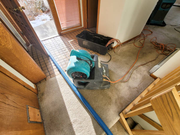 Best Flood restoration services  in Fort Mckinley, OH