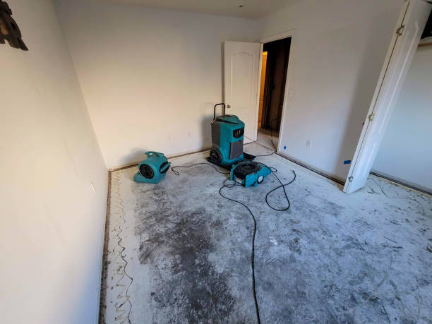 Best Water damage contractors near me  in Fort Mckinley, OH