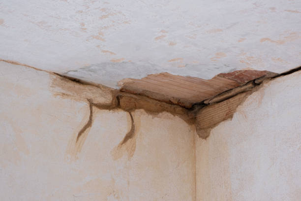 Best 24-hour water damage restoration  in Fort Mckinley, OH