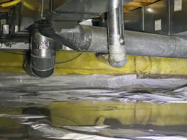 Best Professional water damage repair  in Fort Mckinley, OH