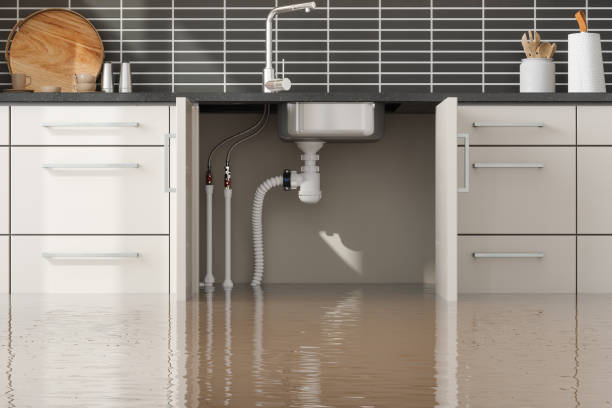 Best Residential water damage restoration  in Fort Mckinley, OH