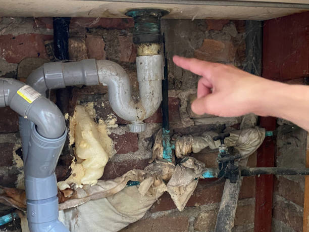 Best Water damage cleanup near me  in Fort Mckinley, OH