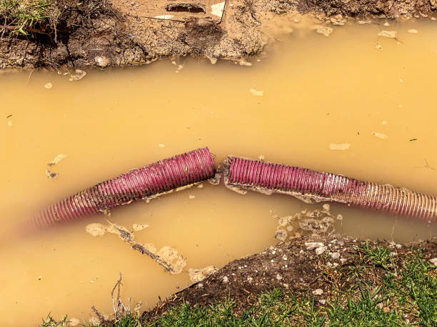 Water damage restoration experts in Fort Mckinley, OH
