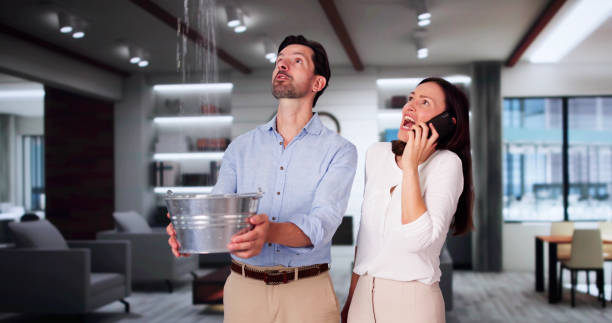 Best Mold removal after water damage  in Fort Mckinley, OH