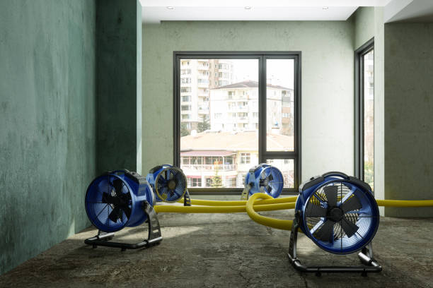 Best 24-hour water damage restoration  in Fort Mckinley, OH