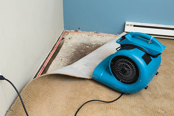 Best Ceiling water damage repair  in Fort Mckinley, OH